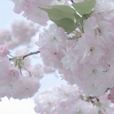 Furry手绘上色教程FurryQQ群